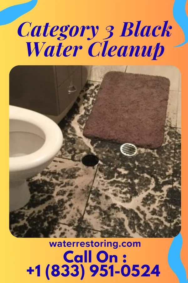 Category 3 Black Water Cleanup in South Kensington, MD