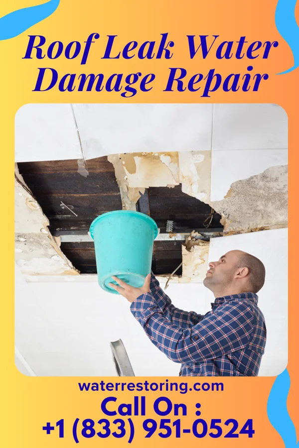 Roof Leak Water Damage Repair in South Kensington, MD