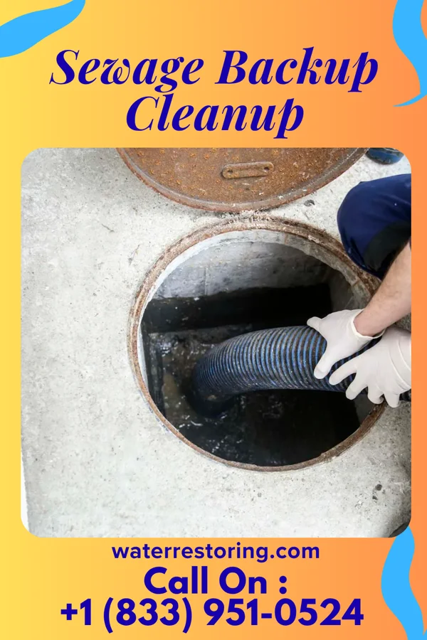 Sewage Backup Cleanup in South Kensington, MD