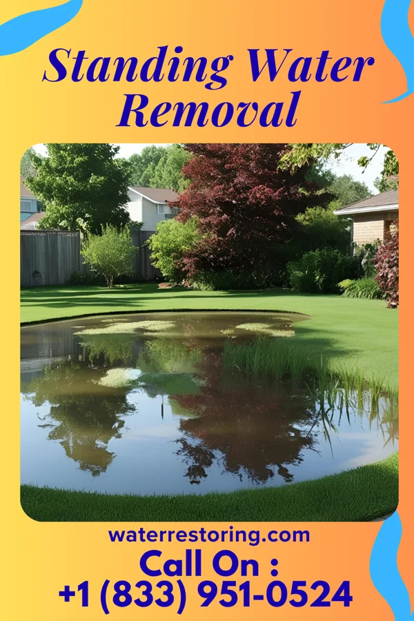 Standing Water Removal in South Kensington, MD